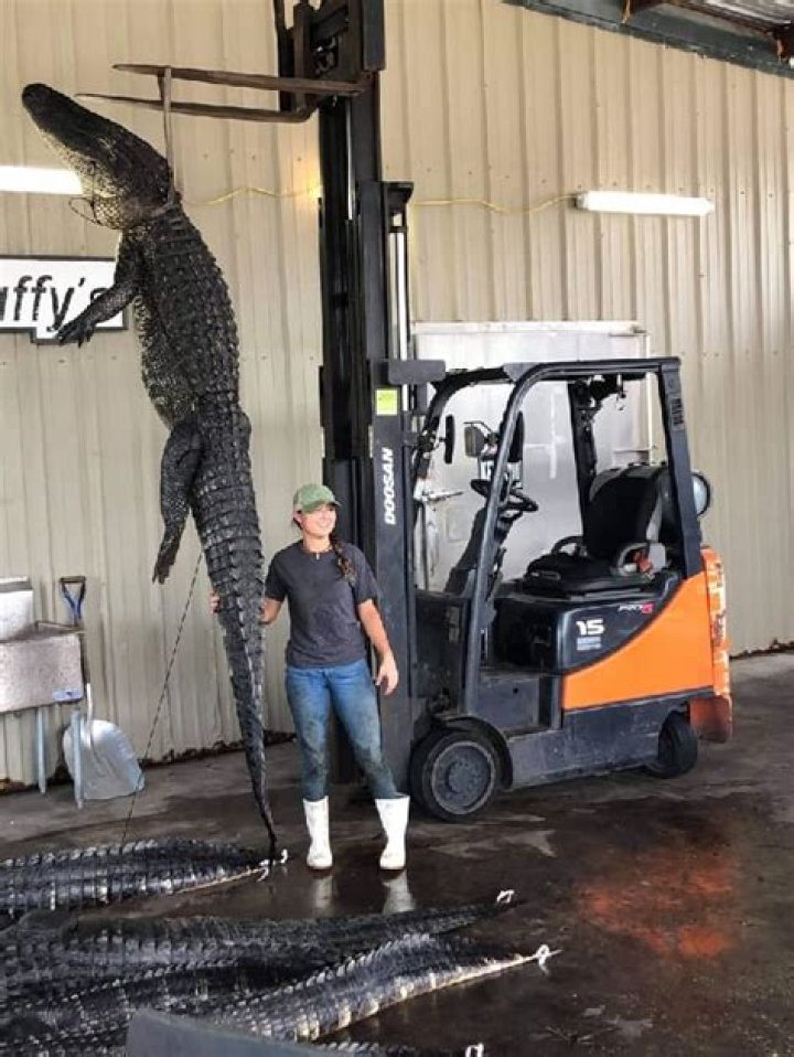 Draconite Dragon Height, Weight, Net Worth, Age, Birthday, Wikipedia, Who, Instagram, Biography